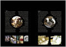 Print design - Anderson & Ryan