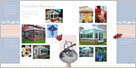 Print design - Newdawn
